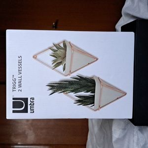 Umbra Trigg Hanging Planter Vase & Geometric Wall Decor Container